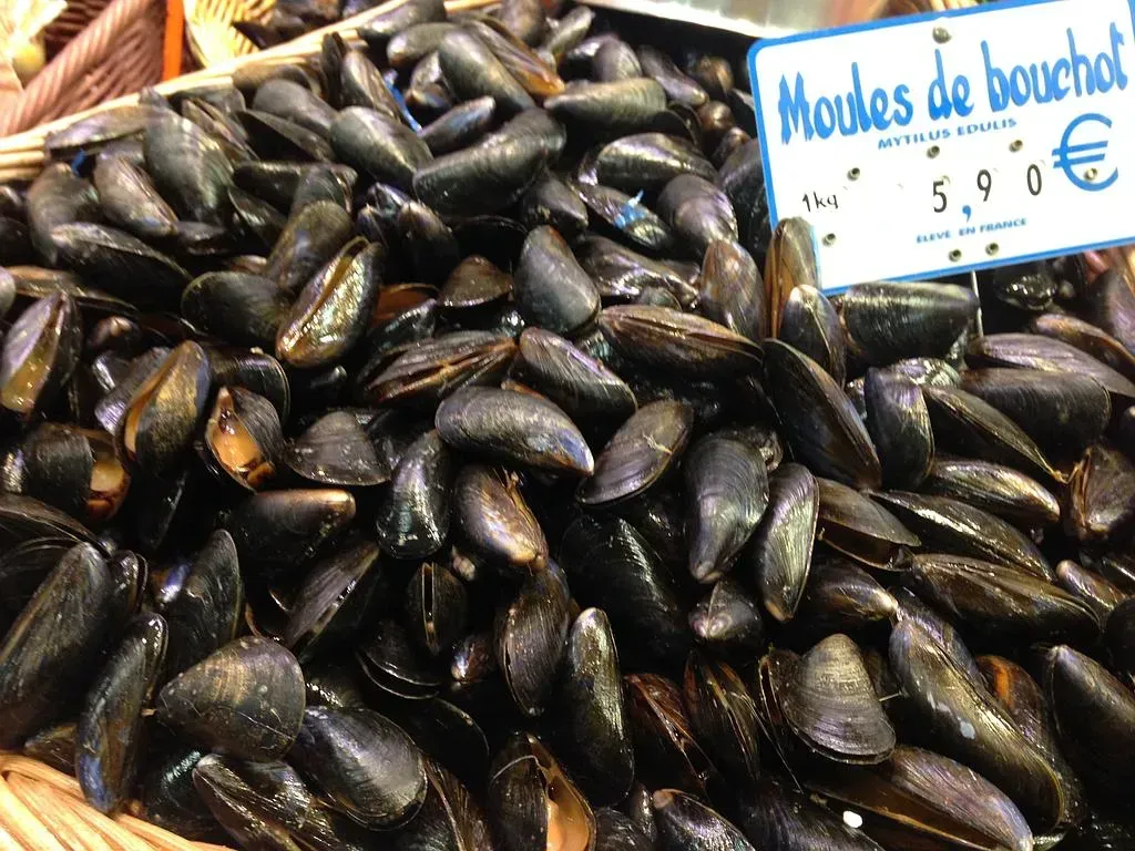 Moules