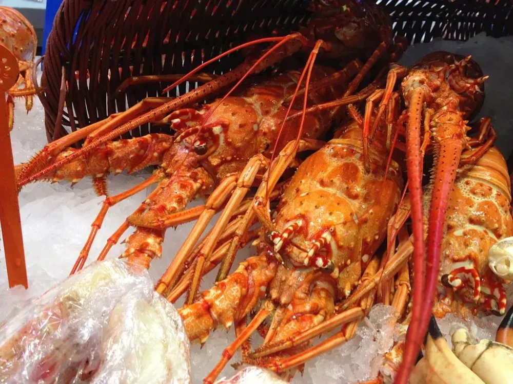 Crustacés à Limoges