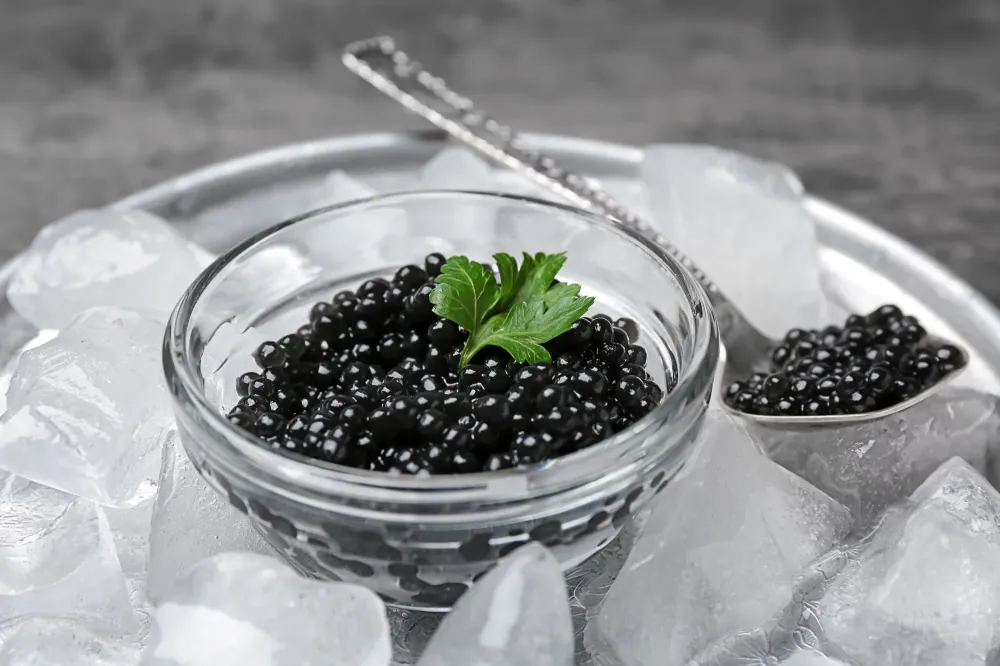 Caviar à Limoges